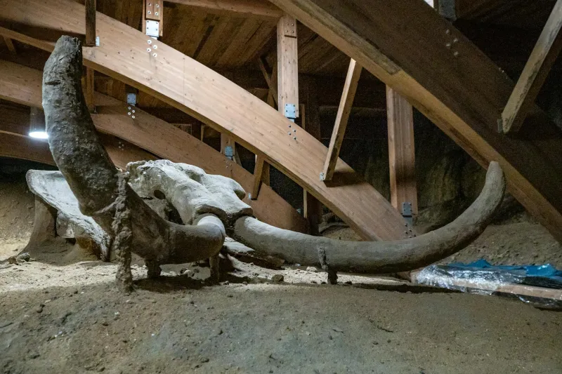 The Soybean Field That Hid a 15,000-Year-Old Legal Nightmare