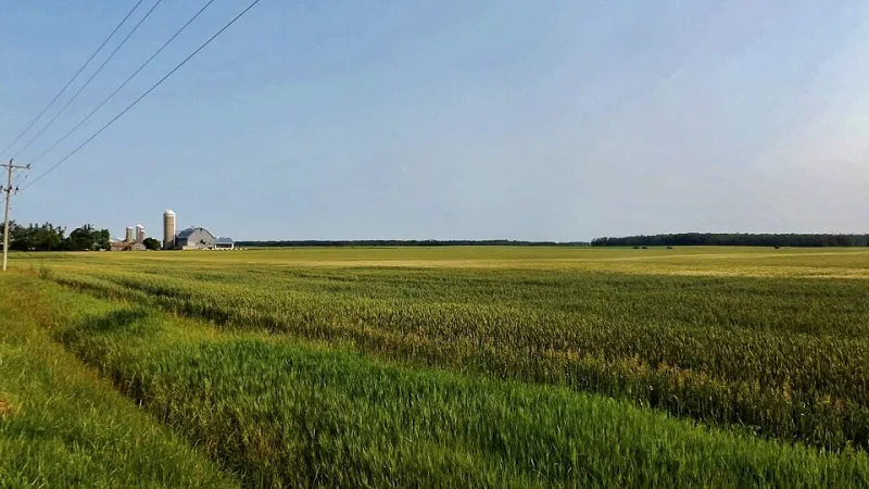 For Three Years, One Midwest County Technically Didn't Exist — and Residents Had No Idea
