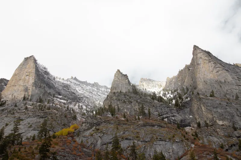 Montana's Most Convincing Rock: How a Hillside Fooled Geologists for a Century