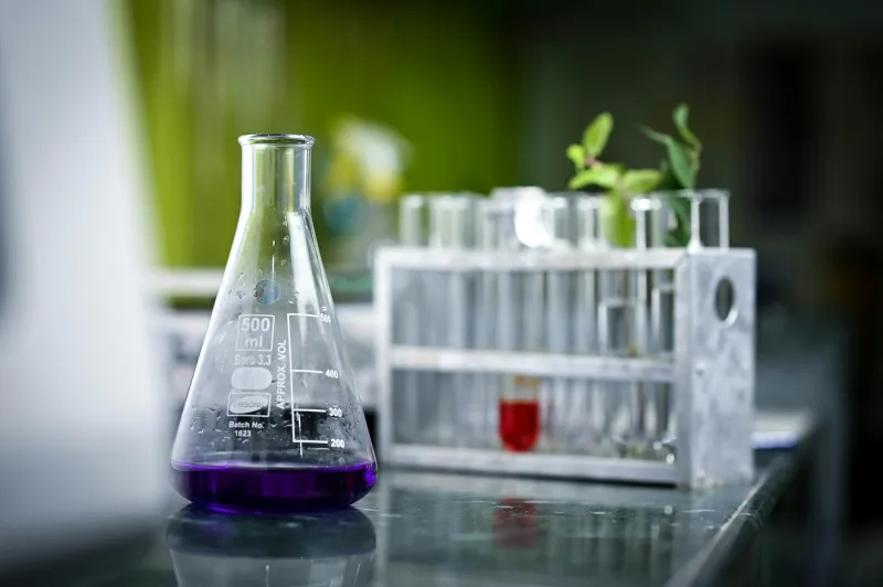 The Teenager Who Ruined Chemistry Class and Accidentally Launched the Fashion Industry