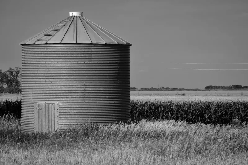 When Bad Math Made a Corn Farmer the Richest Man in Nebraska